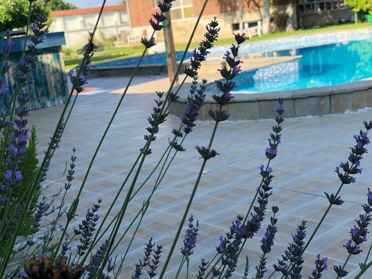 Galeria In The Garden Hotel Plovdiv Luaran gambar